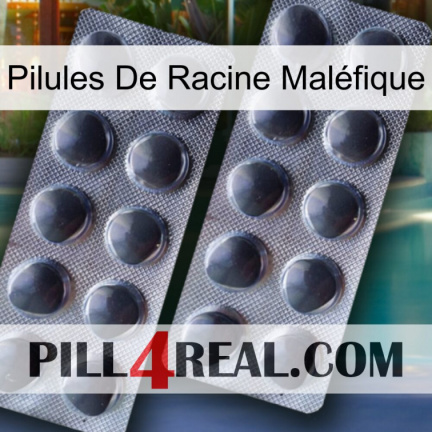 Pilules De Racine Maléfique 31